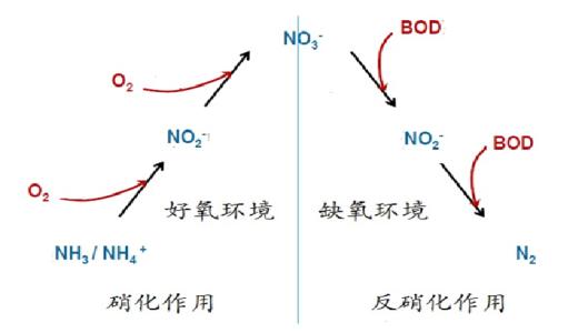 硝化反应